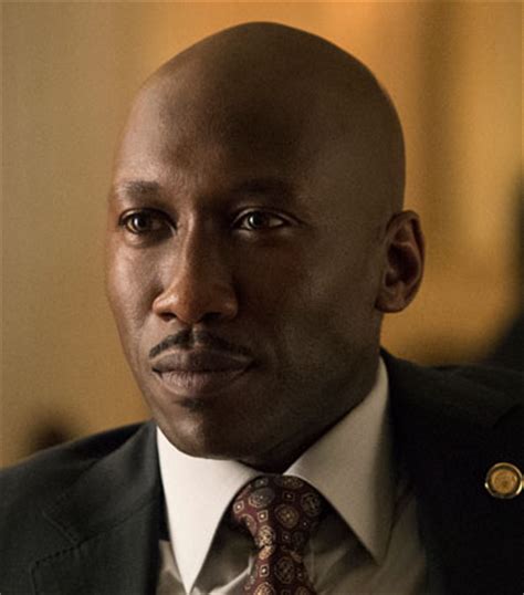 where is remy danton